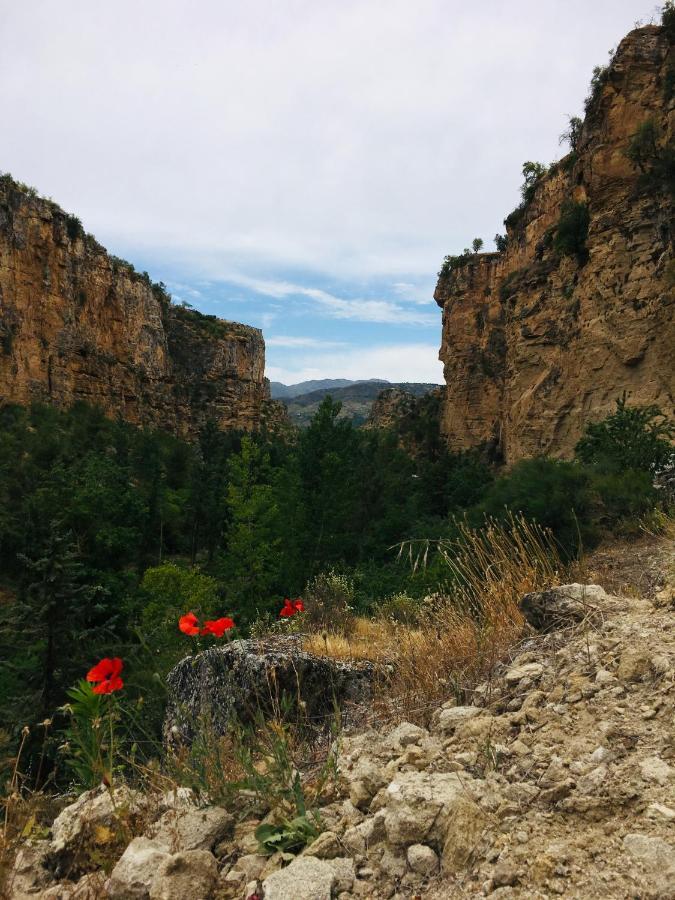 Casa Cervantes Alhama de Granada Dış mekan fotoğraf
